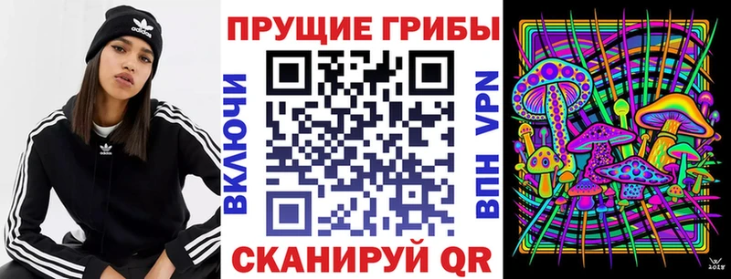 Галлюциногенные грибы Cubensis  Каменск-Шахтинский 