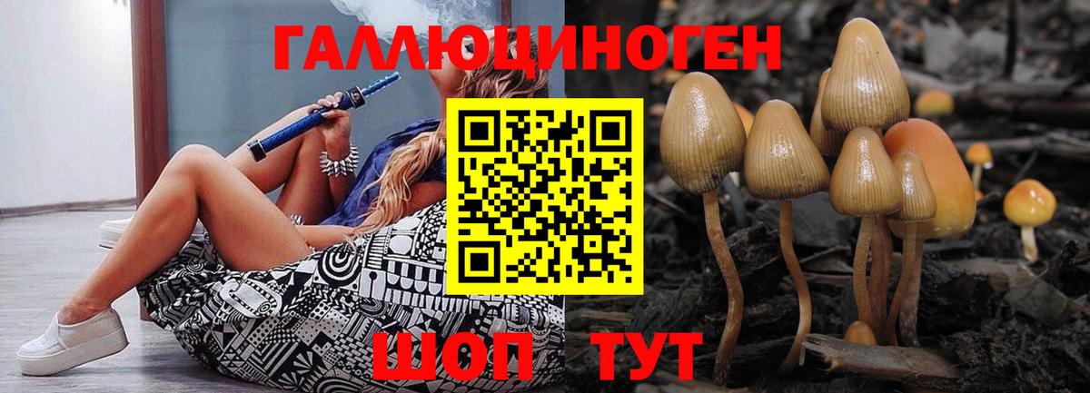 Псилоцибиновые грибы прущие грибы  Вход с VPN  Каменск-Шахтинский 